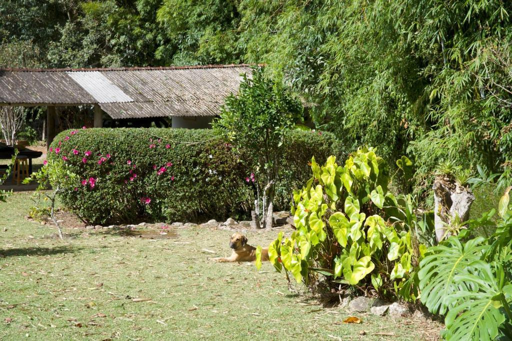 Casa Em Friburgo Com Piscina Lareira & * Nova Friburgo